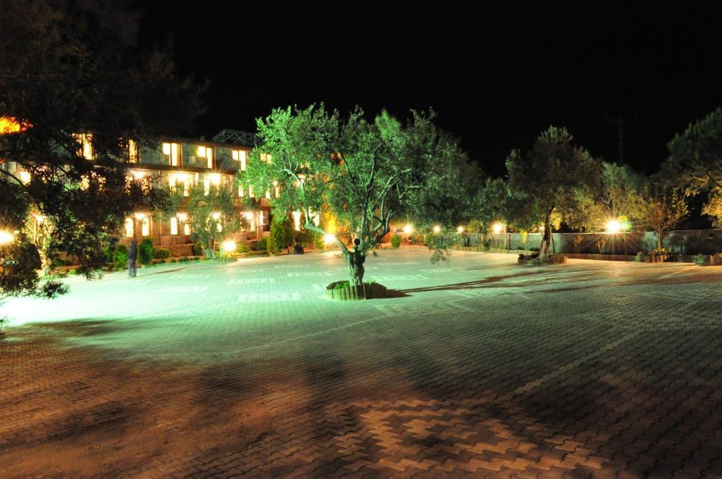 Assos Park Hotel Zewnętrze zdjęcie